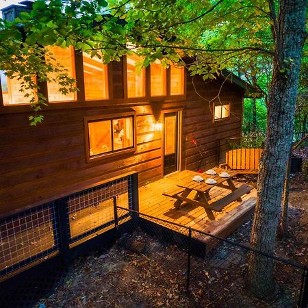 Woodhaven - Private - 3 Suites - Gorgeous Views - 3 Pools - Gamerm - Hottub - Lots Of Bears 蓋特林堡 外观 照片
